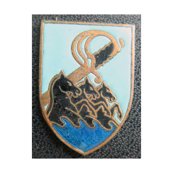 SABRE : Insigne du Patrouilleur Sabre  petit éclat émail sans attache