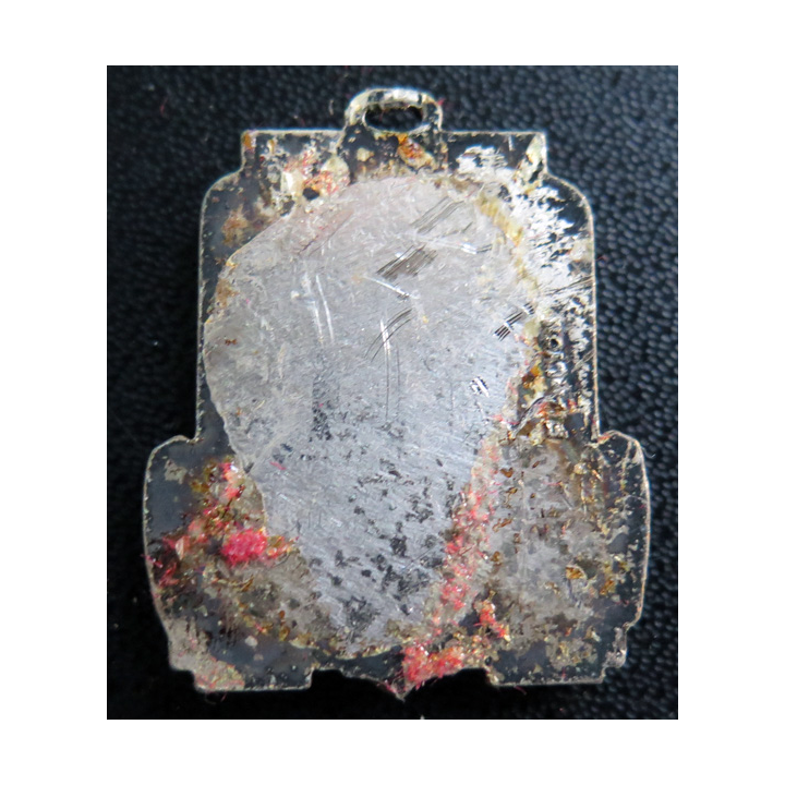 SCARABÉE : Insigne du mouilleur de filets Scarabée sans attache