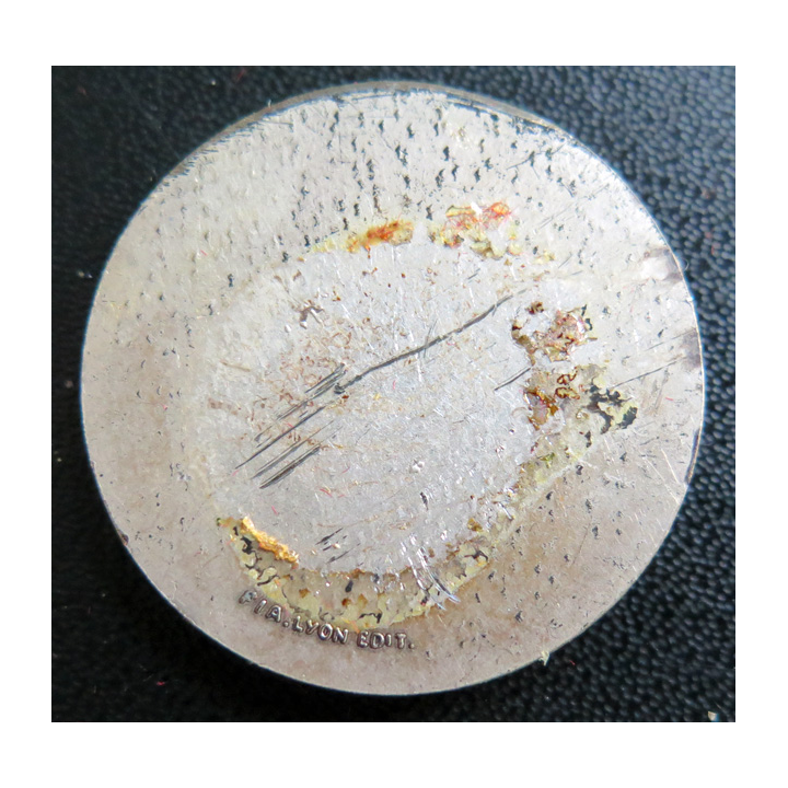 CENTAURE : rondache argentée du Centaure FIA sans attache