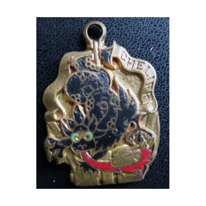 CHELIFF : insigne du bâtiment de débarquement Cheliff en émail sans attache