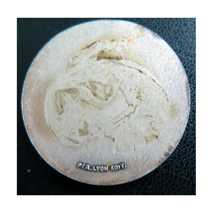 GARONNE : rondache argentée du Pétrolier Garonne FIA sans attache