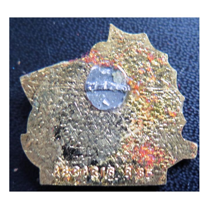 JAVELINE : insigne du Javeline A.B Paris R 85 en émail sans attache