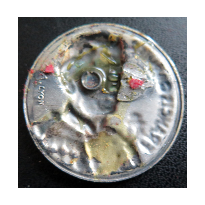 FRANCIS GARNIER : rondache argentée du bâtiment Francis Garnier FIA sans attache