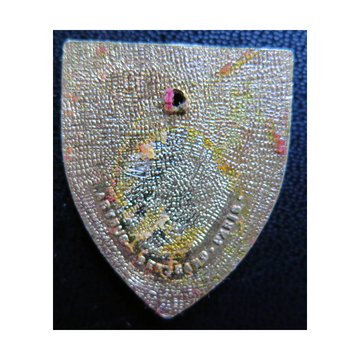 AMIRAL CHARNER : Insigne de l'aviso escorteur Amiral Charner Arthus Bertrand Paris en émail percé sans attache