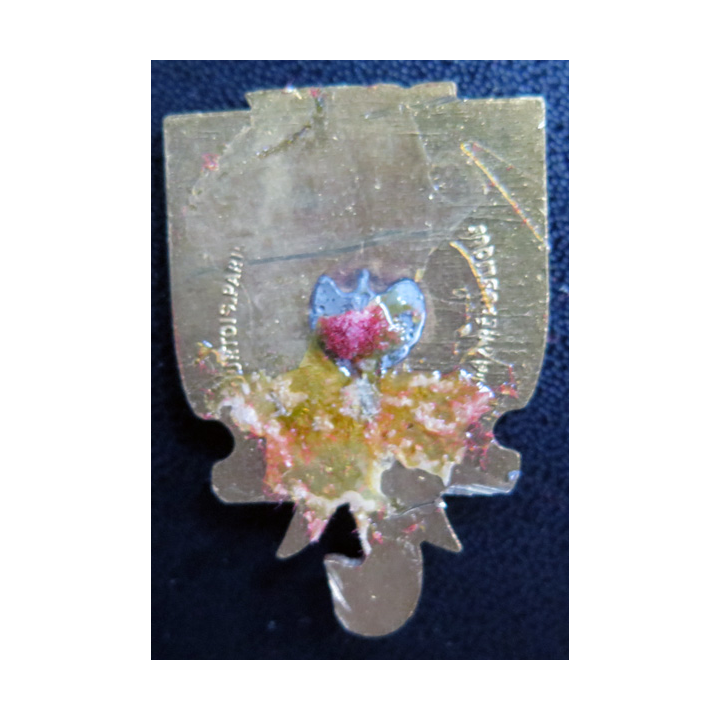 COMMANDANT BORY : insigne de l'aviso dragueur Commandant Bory Courtois en émail sans attache