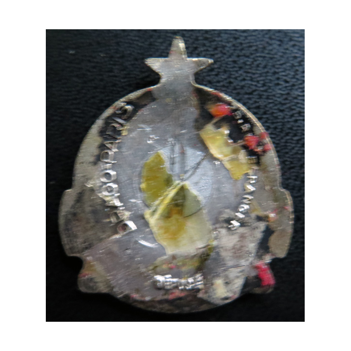 TUNISIEN : insigne de l'escorteur Tunisien Drago Béranger en émail sans attache