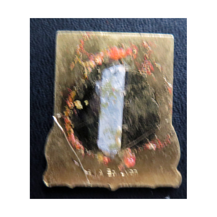 FOCH : insigne du Porte avions Foch FIA sans attache