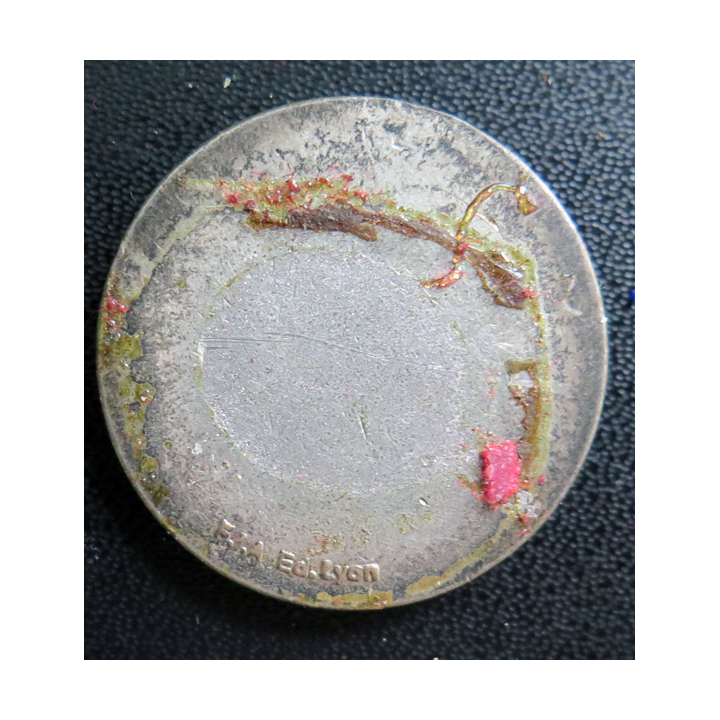 TARTU : insigne de l'escorteur d'escadre Tartu FIA sans attache