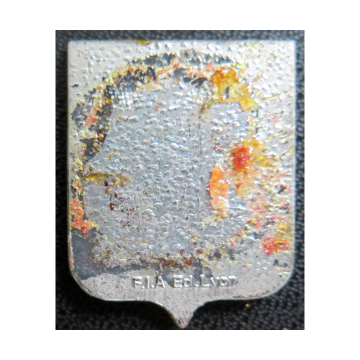 ETOILE BELLE POULE : insigne de l'étoile Belle Poule FIA non émaillé sans attache