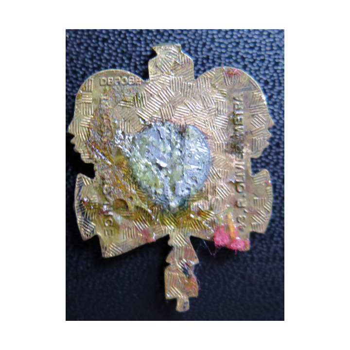 L'INCONSTANT : insigne du Patrouilleur l'Inconstant Drago Olivier Métra en émail sans attache