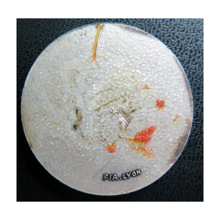 AMIRAL CHARNER : rondache argentée de l'aviso escorteur Amiral Charner FIA sans attache