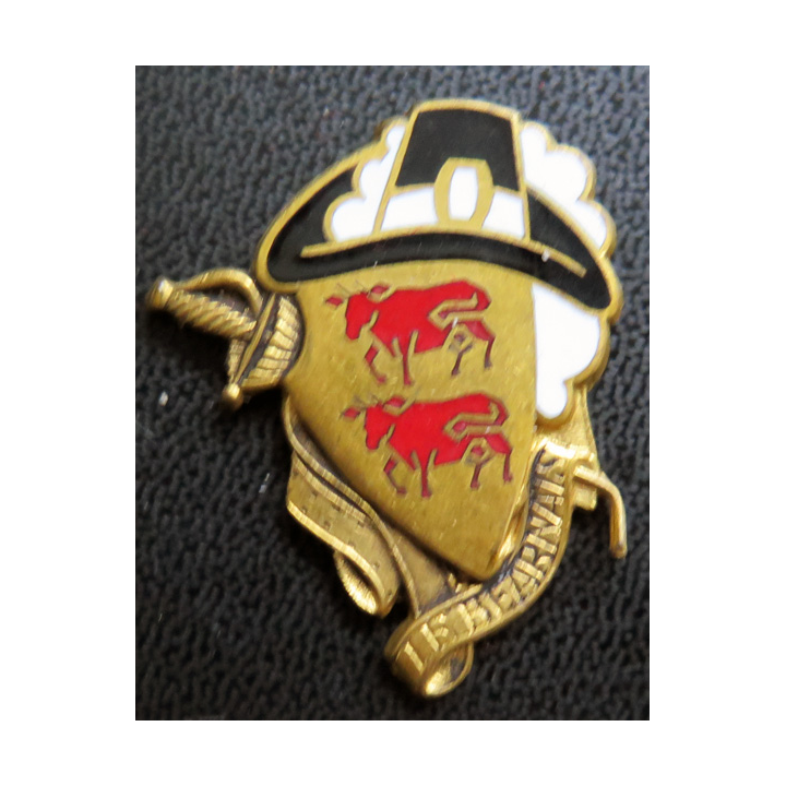 LE BEARNAIS : Insigne de l'escorteur rapide Le Béarnais en émail sans attache