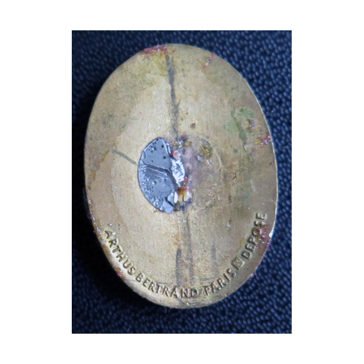 COLBERT : Insigne du Croiseur Colbert ABPD en émail sans attache