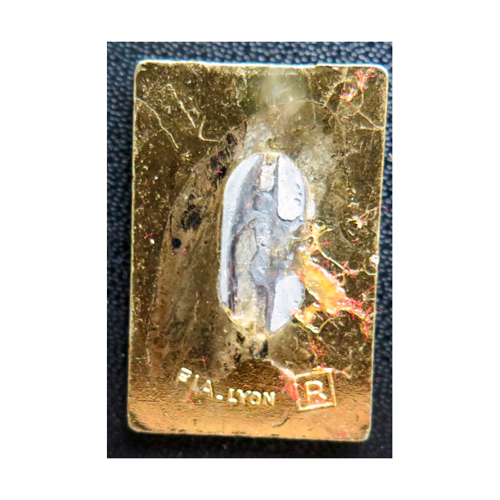 LE MALIN : insigne du Contre torpilleur Le malin FIA Refrappe en émail sans attache