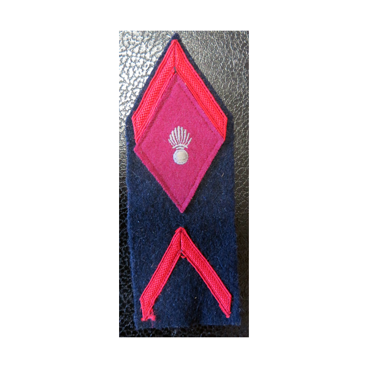 LOSANGE DE BRAS MODÈLE 45 : soldat de 1° classe du service de santé des armées année 1955 coté gauche et droit,