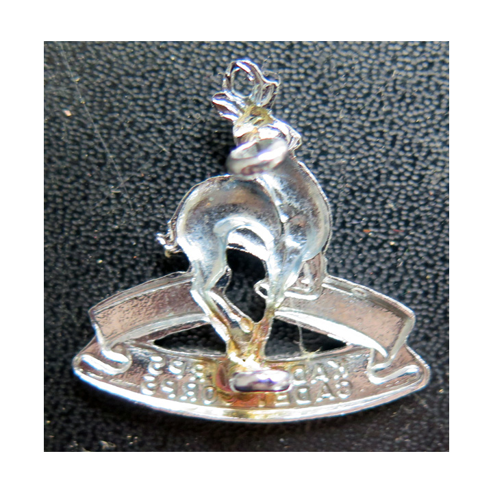 AFRIQUE DU SUD : Insigne du Corps des cadets