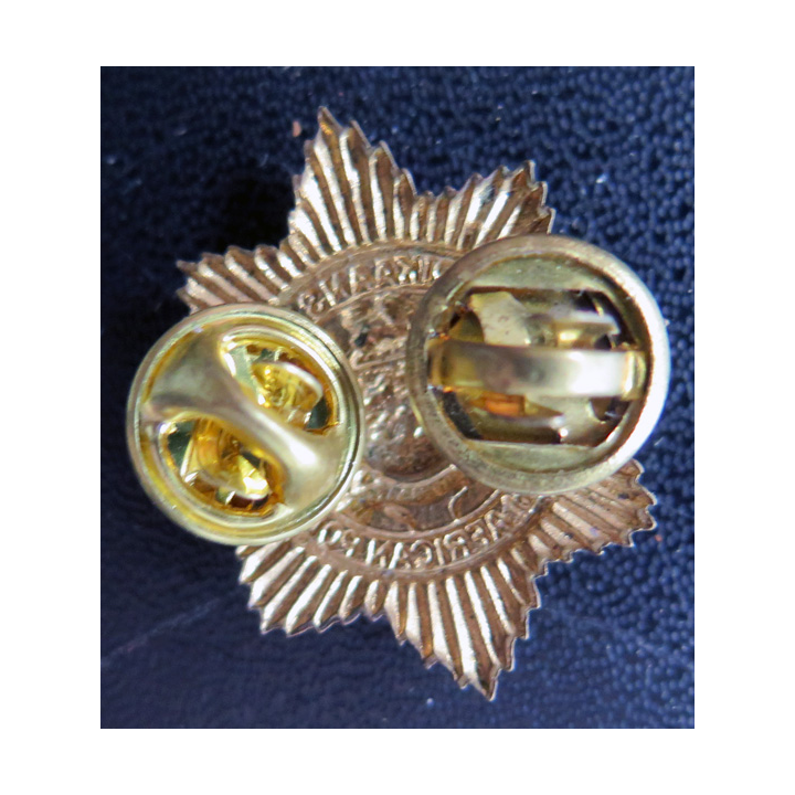 AFRIQUE DU SUD : Insigne de la Police sud africaine