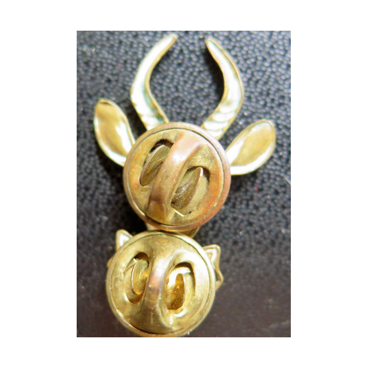 AFRIQUE DU SUD : Insigne de l'Infanterie