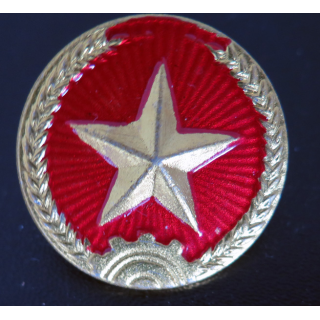 VIETNAM : insigne métallique de casquette