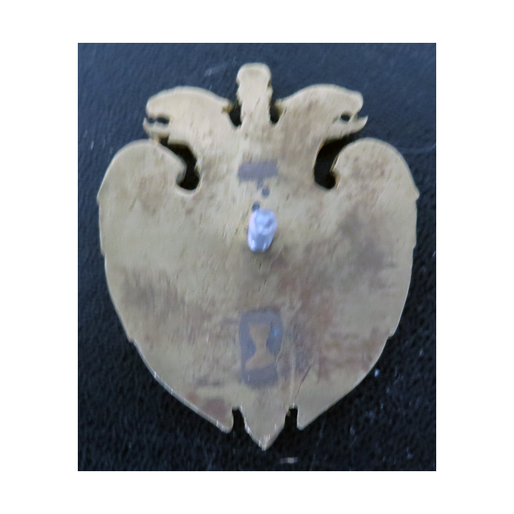 RUSSIE : insigne métallique du FSO