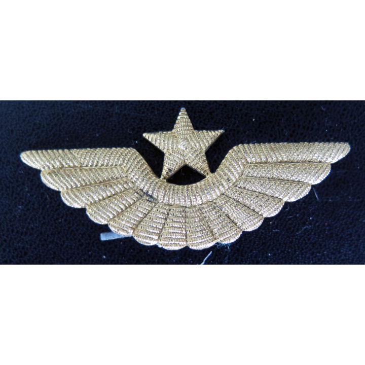 URSS : insigne métallique de casquette d'aviation soviétique