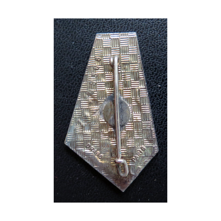 44° RT : insigne du 44° régiment de transmissions de fabrication Drago G. 2308