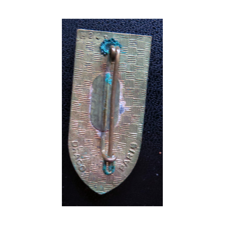 ESM : insigne de l'école spéciale militaire de Saint Cyr fabriqué par Drago H. 243 en émail