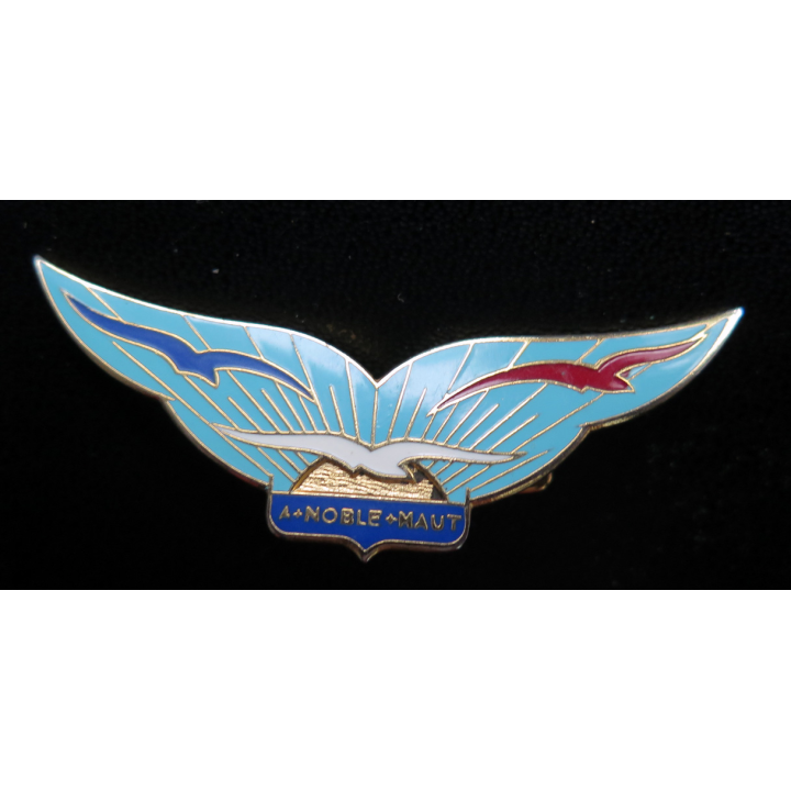 Insigne de l'institution de jeunes filles A Noble haut soleil doré