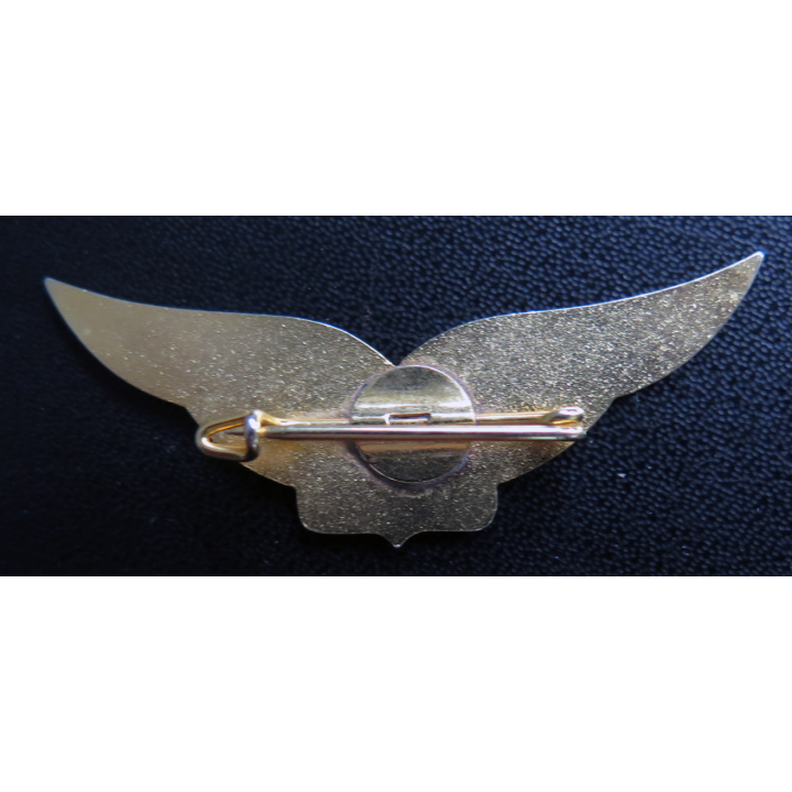 Insigne de l'institution de jeunes filles A Noble haut soleil doré