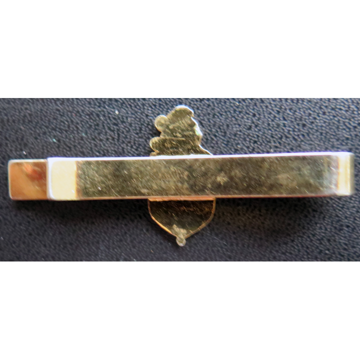 GENDARMERIE : Pince à cravate dorée grenade étroite