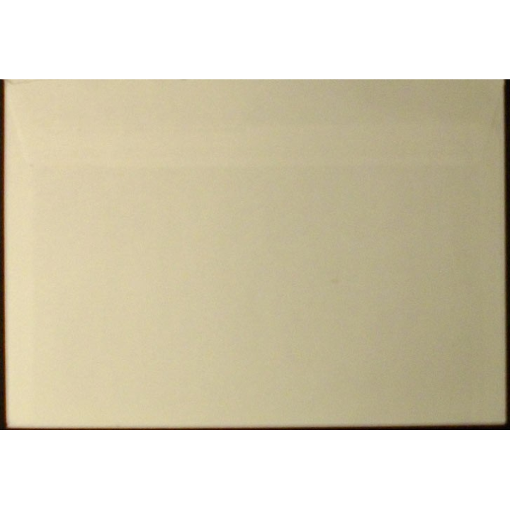 ENVELOPPE DIVISION SALAMANDRE (BUREAU POSTAL MILITAIRE 660)