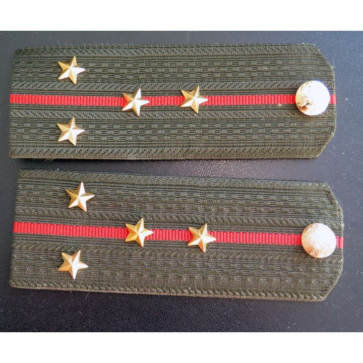 RUSSIE : paire d'épaulettes de Capitaine des Forces terrestres