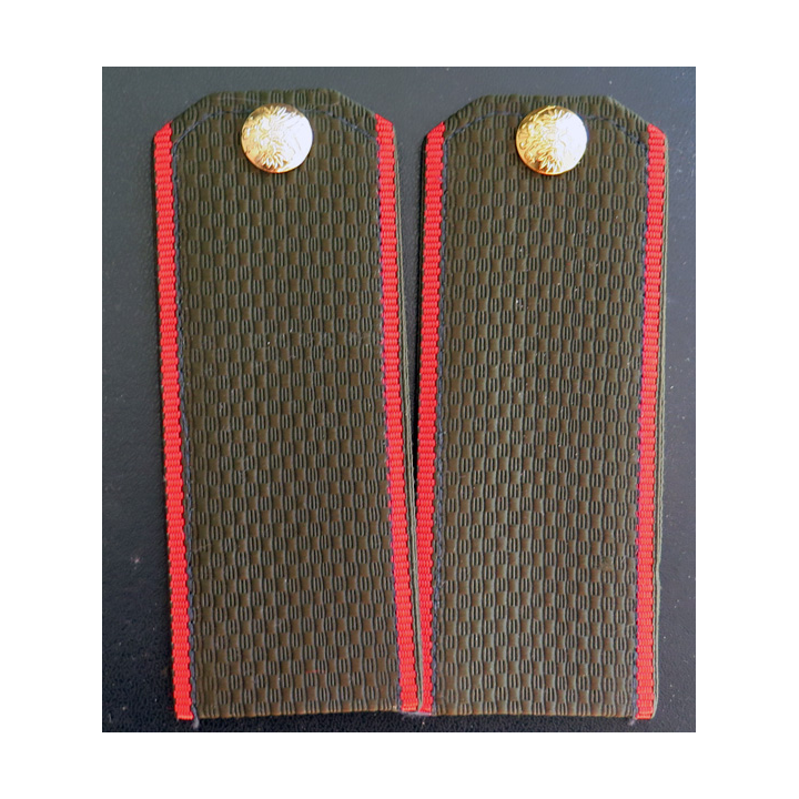 RUSSIE : paire d'épaulettes de soldat des Forces terrestres