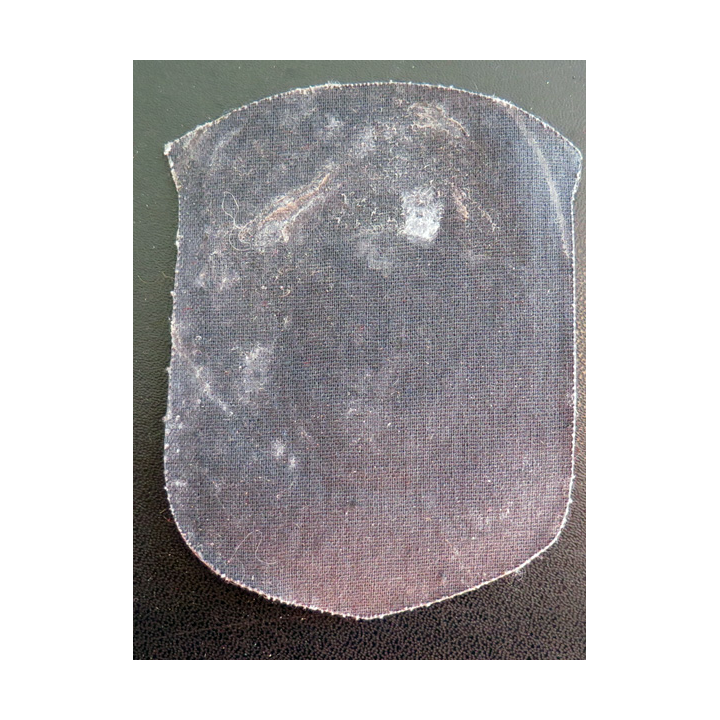 RUSSIE : insigne tissu du contrôle et de la sécurité de la Nature