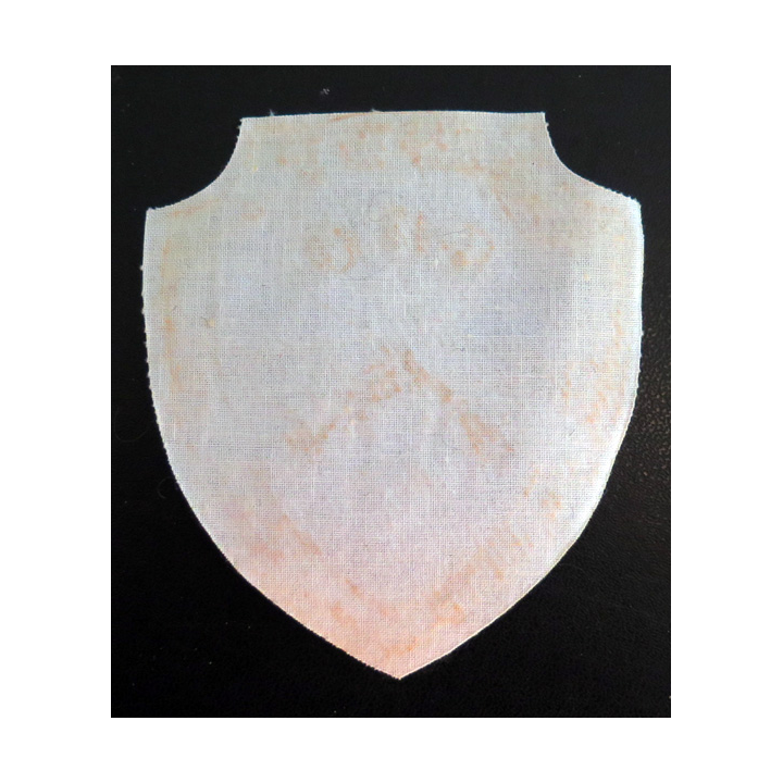 RUSSIE : insigne tissu du club sportif militaire de la jeunesse de Moscou