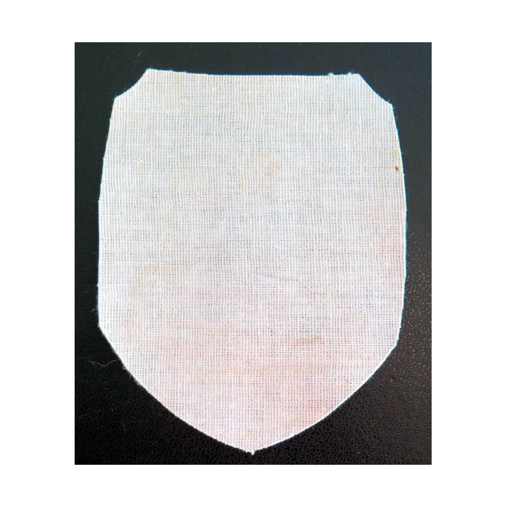 RUSSIE : insigne tissu du club militaire sportif de la jeunesse