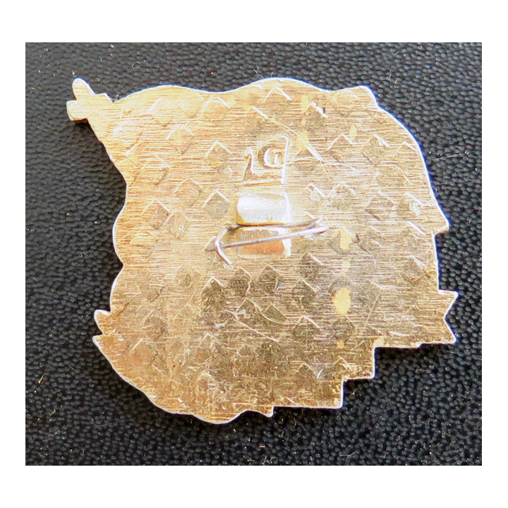 URSS : Insigne des 50 ans de l'infanterie de marine de la mer du Nord