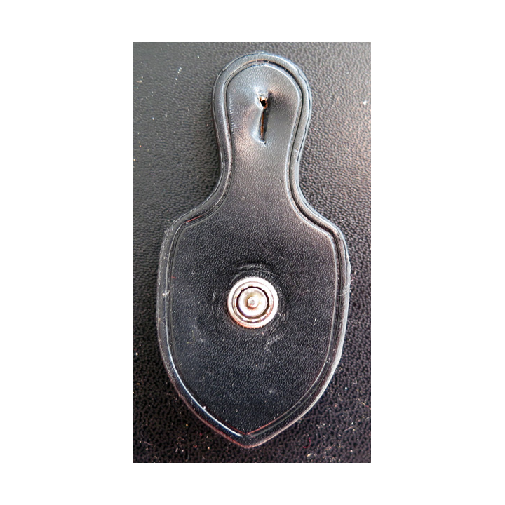 URSS : Insigne de l'académie de médecine militaire