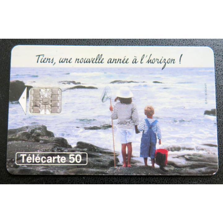 Carte téléphonique Télécarte 50 TER CENTRE