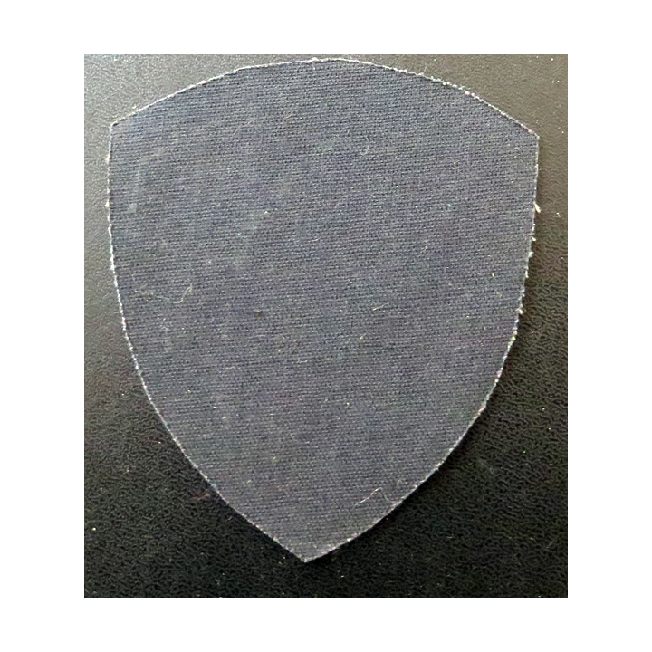 RUSSIE : insigne tissu du 101° Détachement de sécurité du réseau électronique de Moscou