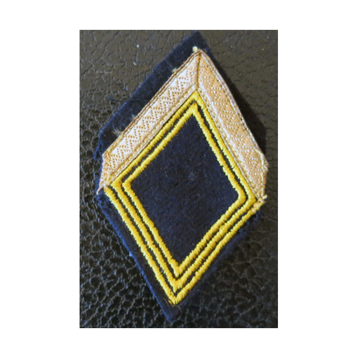 LOSANGE DE BRAS MODÈLE 45 : ecusson et galons de manche de Maréchal des logis hors unité des chasseurs d'Afrique ( RCA) AFN