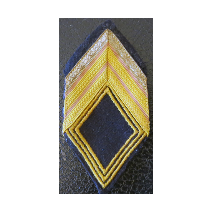 LOSANGE DE BRAS MODÈLE 45 : écusson et galons de manche de brigadier chef hors unité des chasseurs d'Afrique ( RCA) AFN