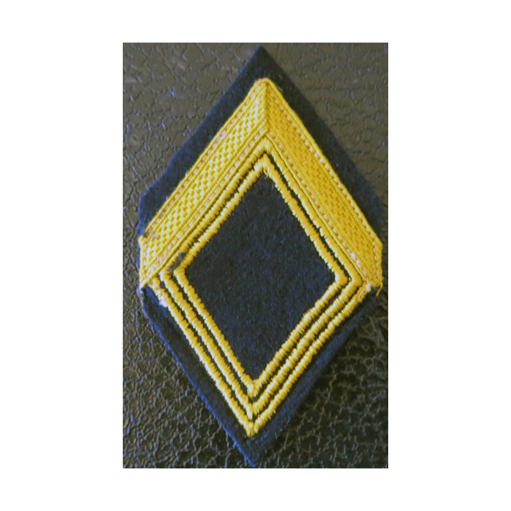 LOSANGE DE BRAS MODÈLE 45 : écussons et galons de manche de 1° classe hors unité des chasseurs d'Afrique ( RCA) AFN