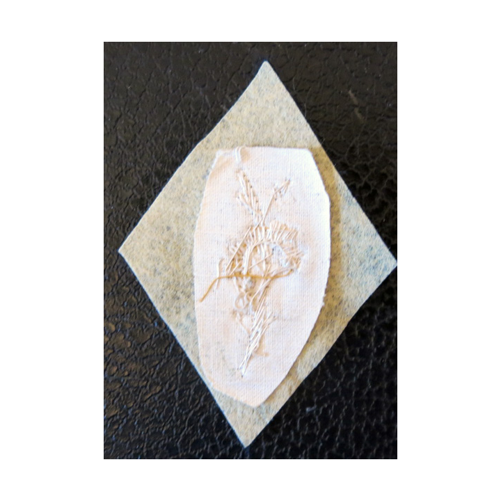 LOSANGE DE BRAS MODÈLE 45 : écusson du trésor aux armées motif canetille argent fond noir en feutre.