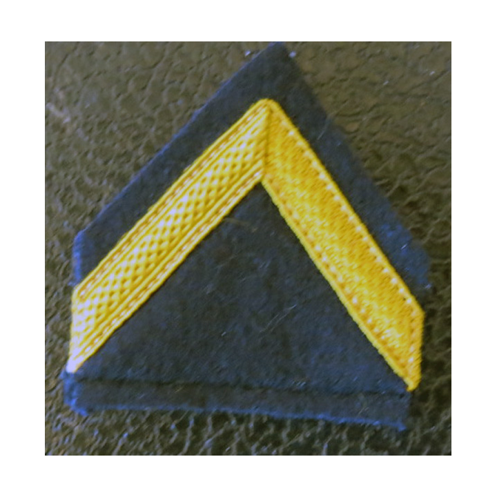 LOSANGE DE BRAS MODÈLE 45 : écussons et galons de manche de 1° classe hors unité des chasseurs d'Afrique ( RCA) AFN