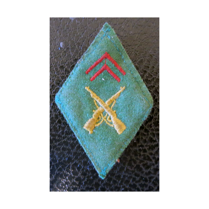 LOSANGE DE BRAS MODÈLE 45 :  écusson armurier fond en feutre vert soutaches écarlates 2 fusils croisés laine jonquille train ?