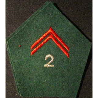 SOUTACHE CADRE 2°RÉGIMENT DE CDT ET DES SERVICES (LA PAIRE)