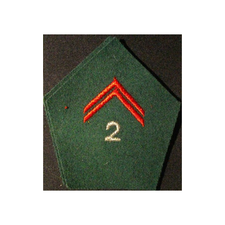 SOUTACHE CADRE 2°RÉGIMENT DE CDT ET DES SERVICES (LA PAIRE)