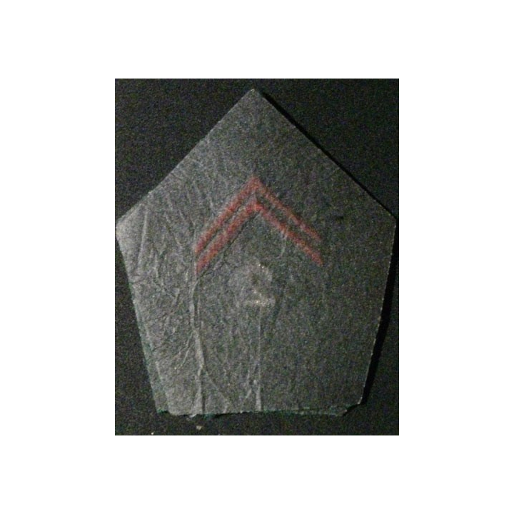 SOUTACHE CADRE 2°RÉGIMENT DE CDT ET DES SERVICES (LA PAIRE)