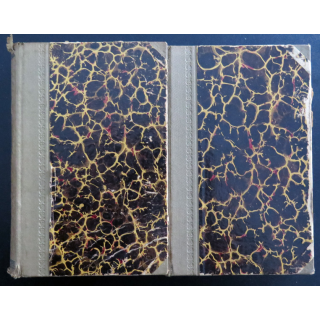 Paire de dictionnaires français Tchèque et Tchèque Français Herzer-Ibl